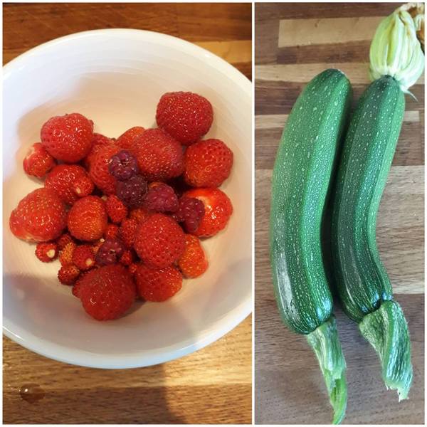 Allotment/Veg Patch Thread 12! Plotmenters hoping for better weather