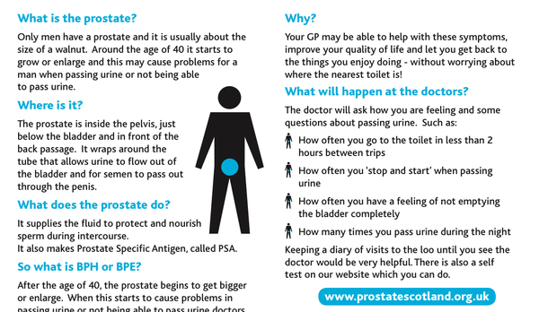 Only Men Have a Prostate
