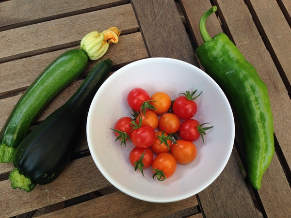 Allotment/Veg Patch Thread 12! Plotmenters hoping for better weather