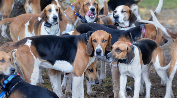 No True Transwoman - transadvocates question whether TW is 'genuine' after said TW sexually harasses women in homeless shelter