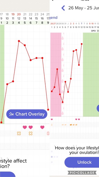 BBT chart