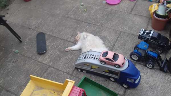 The Friendly Frugaleers, halfway through June!