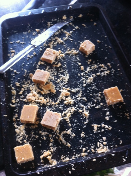 Westminstenders: Rebel or Reveal