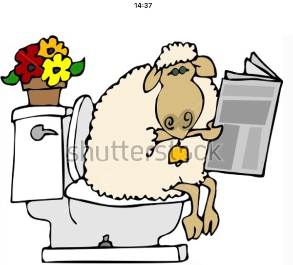 AIBU to think that if you hate animals you shouldn't move to the countryside?