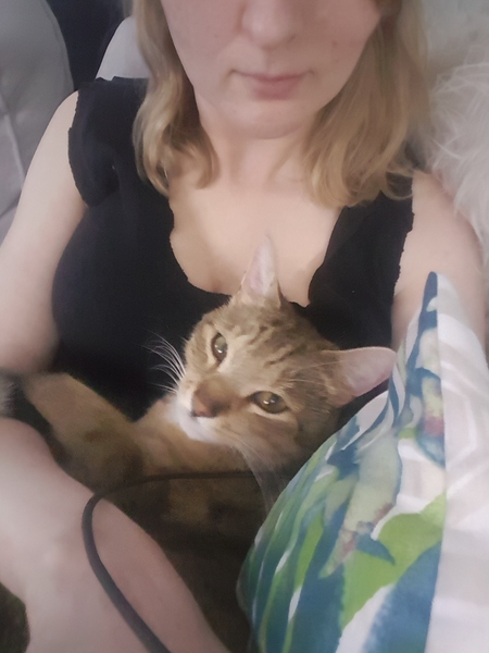 Does the cat know I'm pregnant?