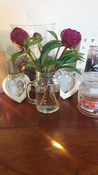 Show off your peonies!