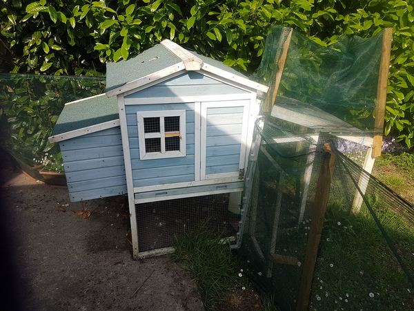 Photos of your chooks and runs please?