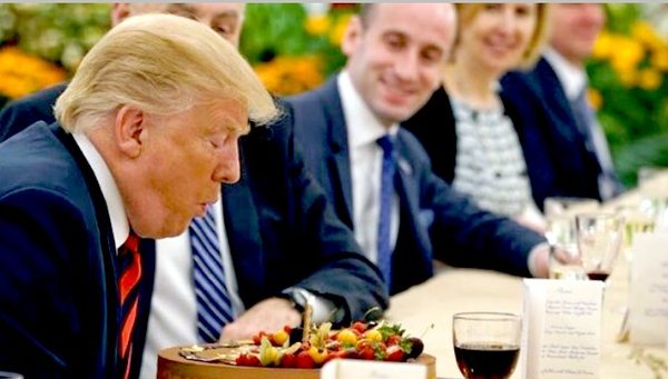 The slog of this authoritarian shitshow is grinding us all down. My inspiration has gone into hiding with Melania. Knock yourselves out! (Trump cont.)