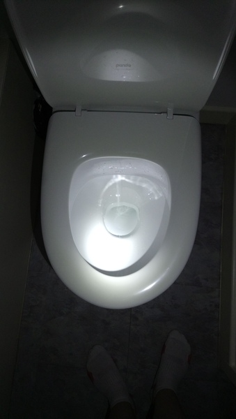 The great toilet brush debate