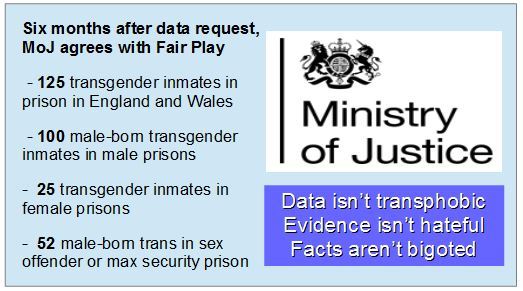 Feminism and trans rights, please enlighten me