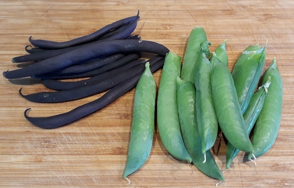 Allotment/Veg Patch Thread 12! Plotmenters hoping for better weather
