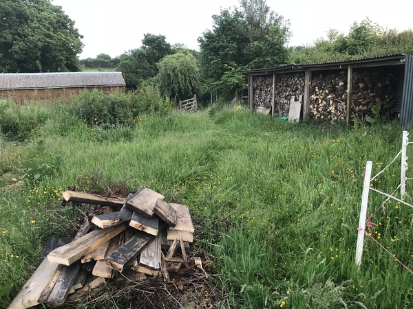 Allotment/Veg Patch Thread 12! Plotmenters hoping for better weather