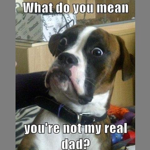 Aibu Father's Day card from pets