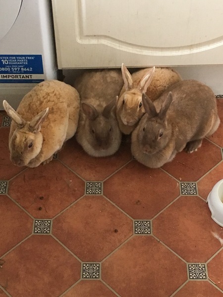 Week 6 - Low Carb Bootcamp - the second half starts here!