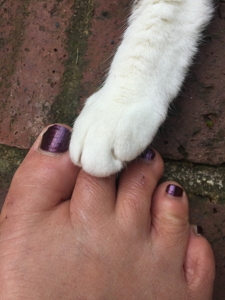 Thread 2! Woolly Hugs. Chernobyl 2018 is HERE!!!