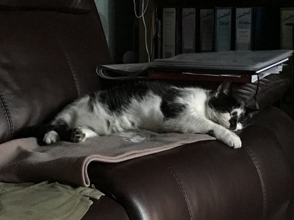 Just back from the vets...