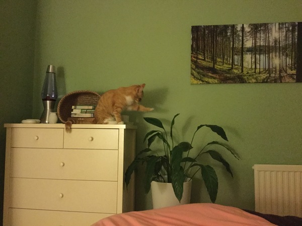 How to stop being woken...