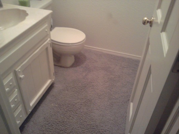 To panic about bathroom bins (or lack of)?