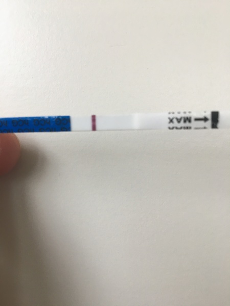 Anyone else waiting to test?
