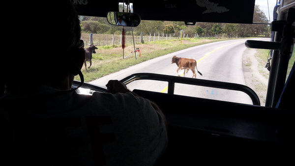Have you been to Cuba? Could you get online?!