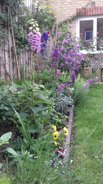 Frulgaleers - Jumping  into June