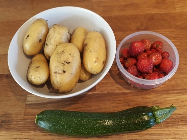 Allotment/Veg Patch Thread 12! Plotmenters hoping for better weather