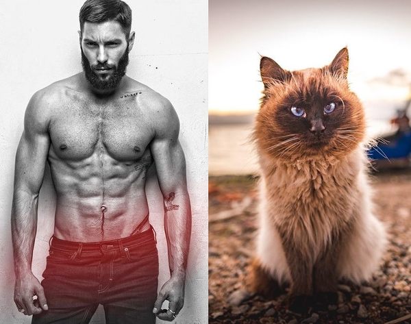 Swagger Inn 156 - The Weather Is Getting Hot, The HBFs Will Always Be Hotter