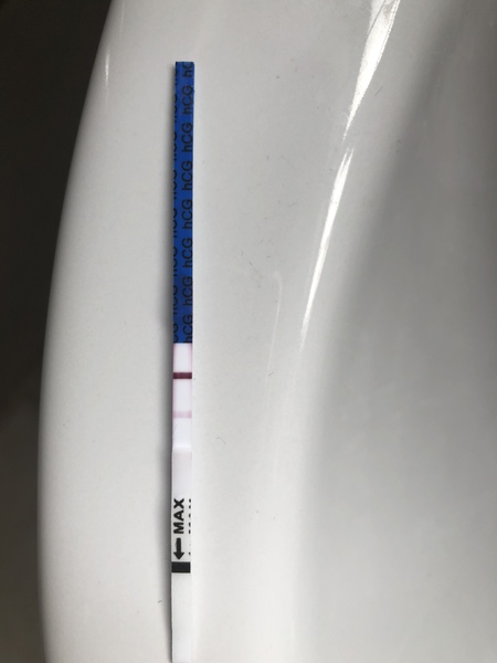 Trying not to get excited- help reading a cheap pos - BFP?