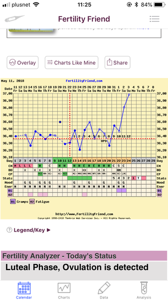 TTC after recurrent miscarriage thread 2 - we're not giving up