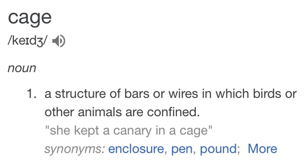 Children kept in cages - Texas