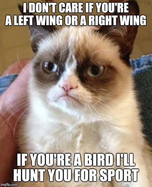 What do you say to family/friends who are right wing?