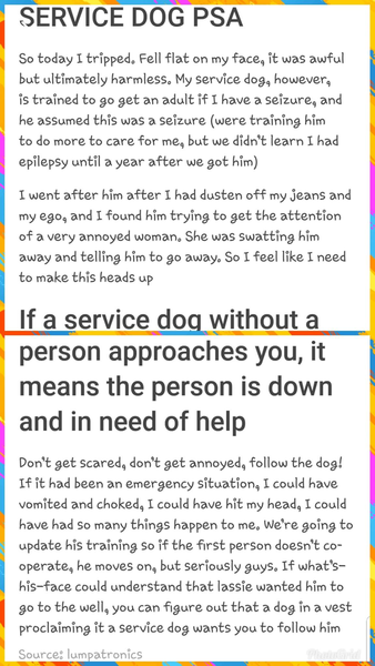 To ask what you'd do if a service dog without an owner approched you what would you do?