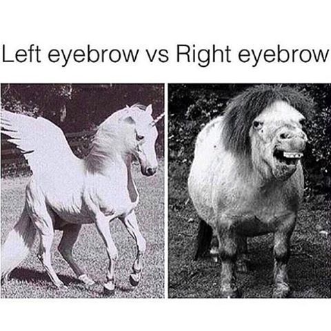To ask why one is perfect and the other is a complete twat....