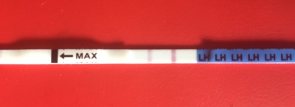 TTC After Pregnancy Loss Thread 22.