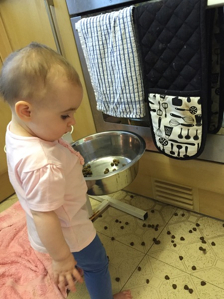 AIBU to call 111 about my baby DD again?