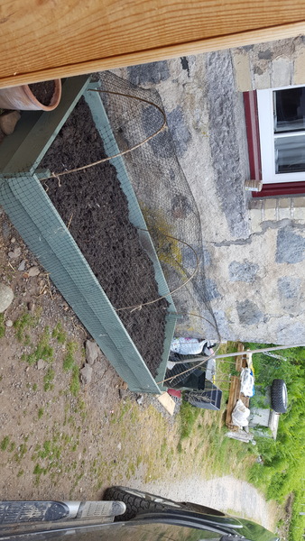 Allotment/Veg Patch Thread 12! Plotmenters hoping for better weather