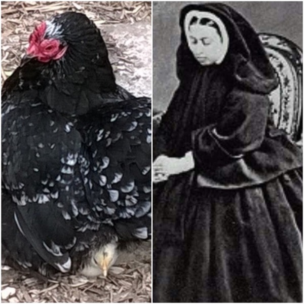 Swagger Inn 156 - The Weather Is Getting Hot, The HBFs Will Always Be Hotter