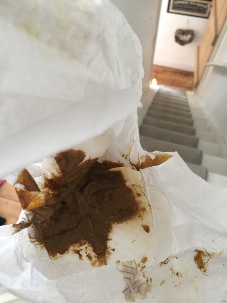 Colour of baby poo