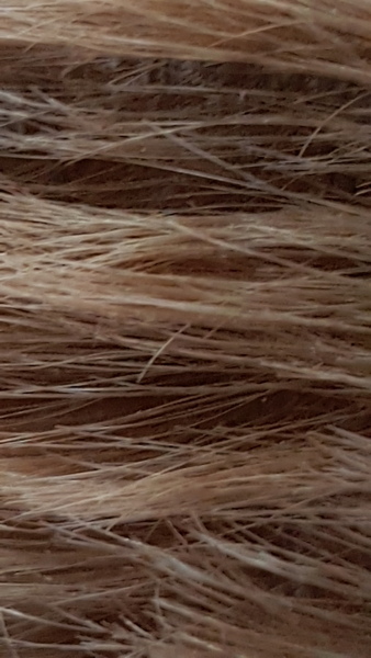 ..to ask if you think my baby will stay ginger?