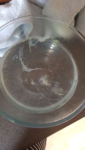 Warning disgusting pic! Sinus drain round 2