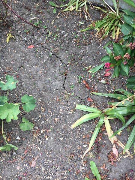 What does this say about the state of my soil?