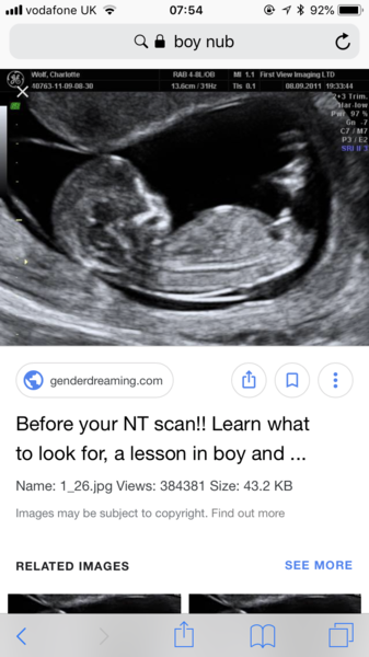 Nub Theory. Boy or Girl?
