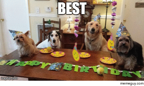 Aibu Father's Day card from pets