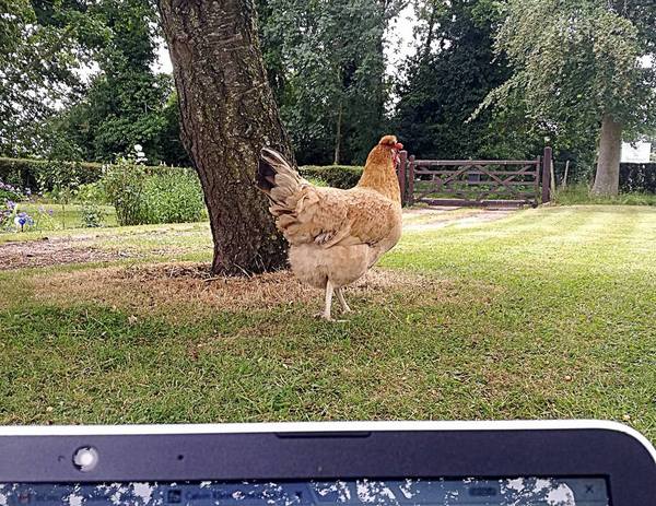 Oooo I received an anonymous letter this morning...from THE VILLAGERS 😬