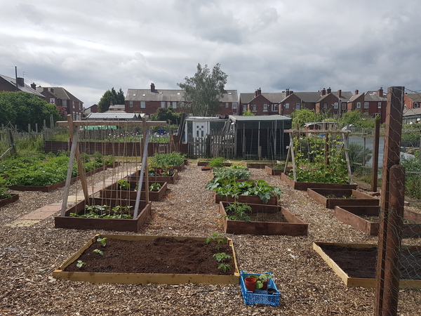 Allotment/Veg Patch Thread 12! Plotmenters hoping for better weather