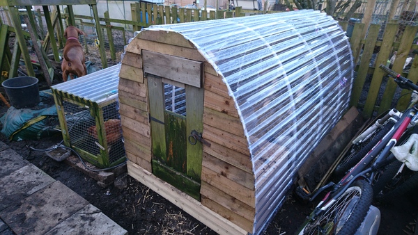 Allotment/Veg Patch Thread 12! Plotmenters hoping for better weather