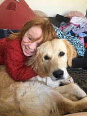 Calling all Golden Retriever owners....