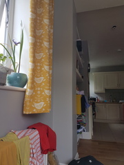 Has anyone found a shade of Grey paint that looks grey?