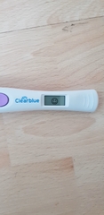 At what point did I ovulate? TTC