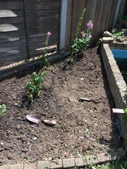 Advice on composting